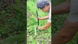 Demonstration of leaf removal from water pipes