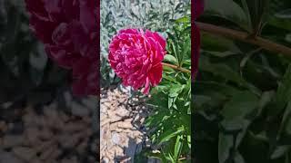 #настроение #мудрость #жизнь #философия #мысли #цитаты