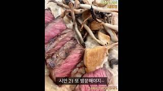 [제주도 아라동 시안21] 맛집에서 먹은 스테이크 버섯 리조또