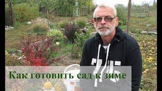 Как готовить сад к зиме