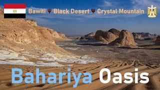 Bahariya Oasis | Western Desert | EGYPT