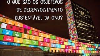 O que são os Objetivos de Desenvolvimento Sustentável da ONU?