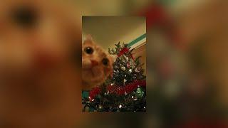 𝓘𝓽𝓼 𝓬𝓱𝓻𝓲𝓼𝓽𝓶𝓪𝓼 𝓽𝓲𝓶𝓮!️~️A Christmas Playlist for you! 