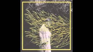 Forest Swords - Engravings [FULL ALBUM]