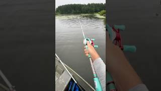 Way too satisfying  #bass #fishing #goodday