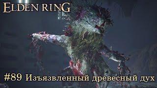 Elden Ring (Астролог): часть 89 - Изъязвленный древесный дух (прохождение)