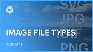 Image file types (JPG, PNG, SVG, GIF)  - Web design tutorial