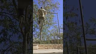 Muscle ups