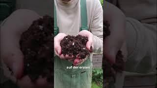 Bodenverbesserer Ecostern mit @bodenstaendig #garten #tipps