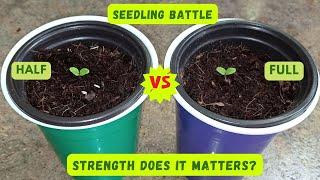 EXPERIMENT: Introducing HALF vs FULL Strength Nutrient Solution to Lettuce Seedlings  (Hydroponics)