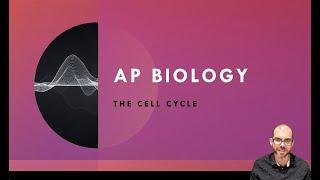 The Cell Cycle - AP Biology