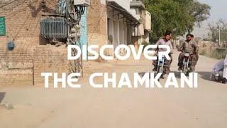 Discover Chamkani  Safar Nama on Chamkani New Episode SafarNamaS02