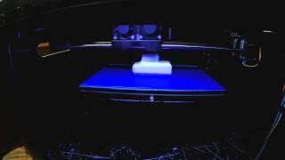 3d printing the SekuraGarden