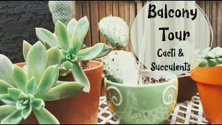 Winter Balcony Tour | Cacti and Succulents Tour