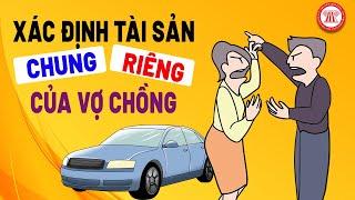Cách Xác Định Tài Sản Chung, Tài Sản Riêng Của Vợ Chồng | TVPL