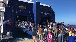 Arrival in Mykonos with Ferry from Santorini