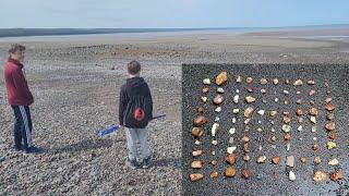 We Found 100 GEMSTONES in 1 HOUR On This Beach