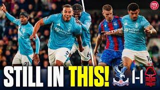 Still In Control of Our Fate! A Good Point! Crystal Palace 1-1 Nottingham Forest Match Reaction