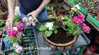 Summer colour - Plant a basket step-by-step with Adam Pasco #gardening #garden