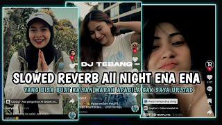 SLOWED REVERB-ALL NIGHT ENA ENA VIRAL TIKTOK-DJ TEBANG