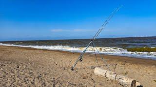 Sea Fishing - Sunny Skegness with Surprise Catch