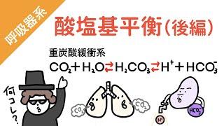 酸塩基平衡（後編）重炭酸緩衝系とは