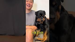 我真不能搭理她 #拉登与阿亮的日常生活