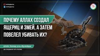 Ответы на вопросы, связанные с приказом убивать ящериц и змей | Змеи понимают человеческий язык?