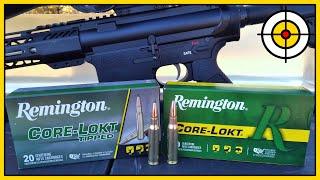 Which One Brings Home The Big Bucks? .308 Remington Core-Lokt Tipped vs Pointed Soft Point!