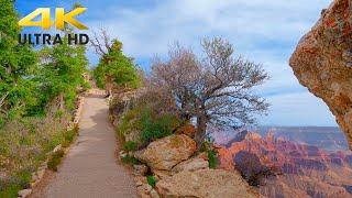 Grand Canyon National Park Bright Angel Point Trail Hike 4K | North Rim Scenic Hiking