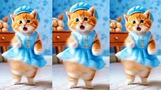 Cute cats Funny  Dance ️Videos for Cats v#dancingcat #viralvideos #funnycatvideos