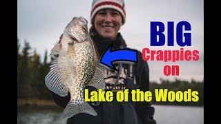 Finding Fall Crappies on Lake of the Woods