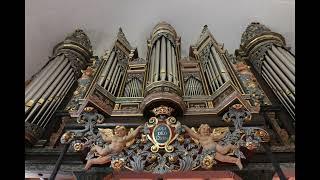 Ingo Duwensee plays Renaissance and Baroque organ music at Altenbruch