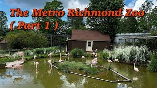 The Metro Richmond Zoo ( Part 1 ) #virginia #travel #animals #explore #nature #usa #browse