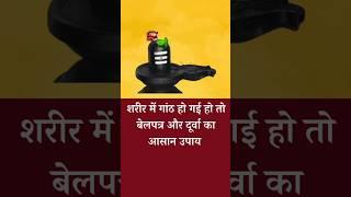 Pradeep Mishra Ganth Galane Ka Upay | Belpatra Durva Upay | Pet Garbhashay Me Ganth Upay