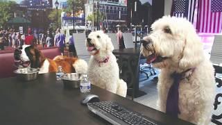 The Bob & Ronna Group - K9® REALTORS!