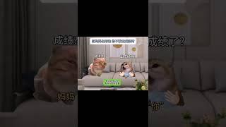 #猫meme小剧场 #猫meme #猫meme搞笑剧情 #猫meme剧场