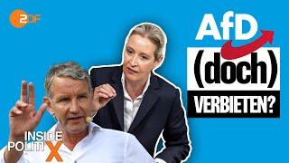 Droht der AfD ein Verbot? | Inside PolitiX