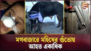 ঘরের ভেতর মহিষের তান্ডব, এক নারী নি'হ'ত | Bull Attack | Mogbazar | Dhaka | Channel 24