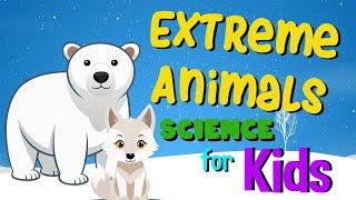 Animals in Extreme Environments | Science for Kids