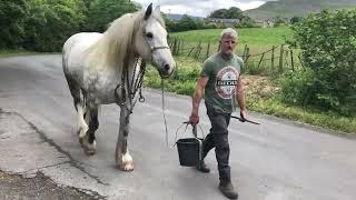 Heading for Appleby Horse Fair