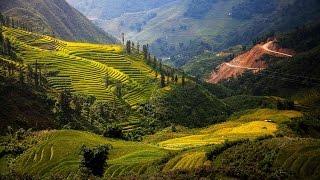 Vietnam Travel Guide and Travel Information