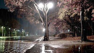 Calm Rainsounds in the night park, White noise like a Lullaby, relaxation & ASMR that helps relax.