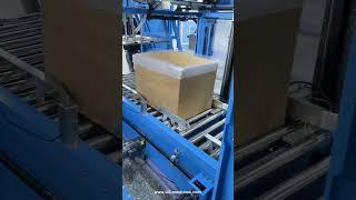 Bag in box machine automatic bag inserting box case packing machine