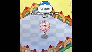 candycookiechocolate but Cookie Run  #cookierunkingdom #cookierun #crk #meme #candycookiechocolate