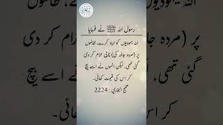 Daily Hadees | Hadees Sharif | Sahih Bukhari 2224 || Daily Blink #shorts #viral #sahihbukhari