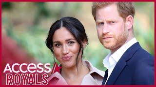 Was 'Megxit' Prince Harry’s Idea, Not Meghan Markle’s?