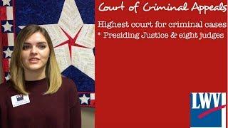 Texas Court of Criminal Appeals