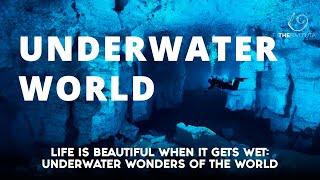 Life Is Beautiful When It Gets Wet: Underwater Wonders Of The World