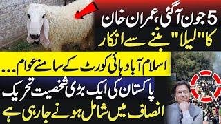 Imran khan Refused To Be A "LAILA"